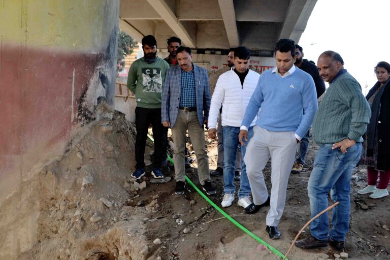 फ्लाईओवर के नीचे खाली पड़ी जगहों का होगा इस्तेमाल , बच्चे , युवा ,बुर्जुग खेल सकेंगे बैडमिंटन और बास्केटबॉल