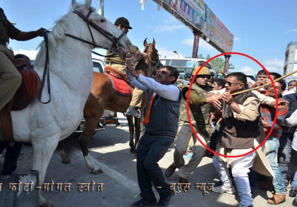 हाईकोर्ट में शक्तिमान मौत के मामले में 9 जून को होगी सुनवाई