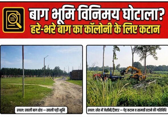 ग्राम सभा की बाग भूमि घोटाला ?